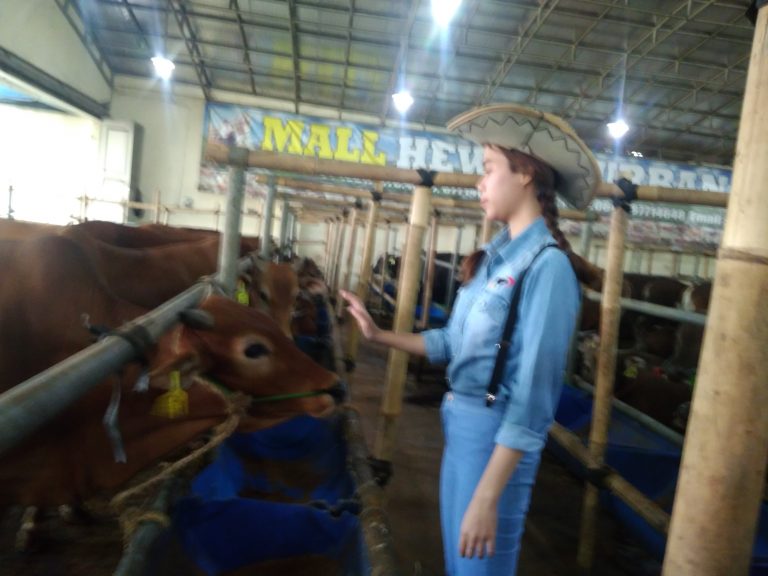 Mall Hewan Qurban Haji Doni Kini Kembali di Ramaikan Dengan Kehadiran Para SPg Cantik