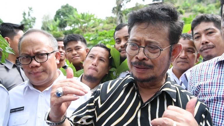 Optimalkan Lahan, Mentan Syahrul Sarankan Lakukan Intercropping