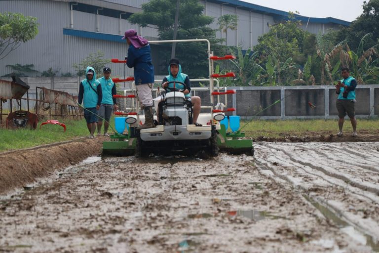 Kementan Dorong Perlakuan Benih Padi Sebelum Penanaman Agar Menghemat Ongkos Produksi