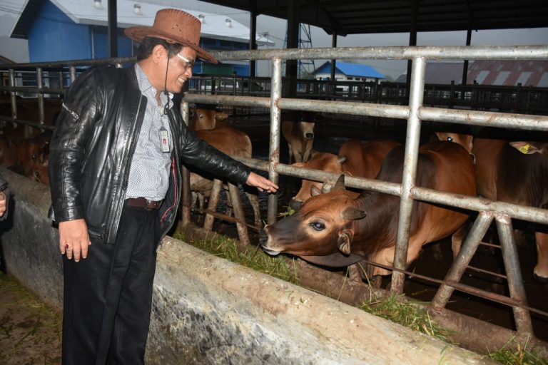 Komisi IV DPR RI Dukung Kementan Kembangkan Sapi Aceh