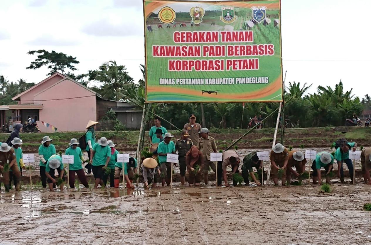 IMG-20191223-WA0079