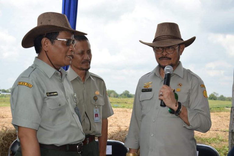 Tim Gerak Cepat Kementan Sudah Bergerak Tangani ASF di Sumut