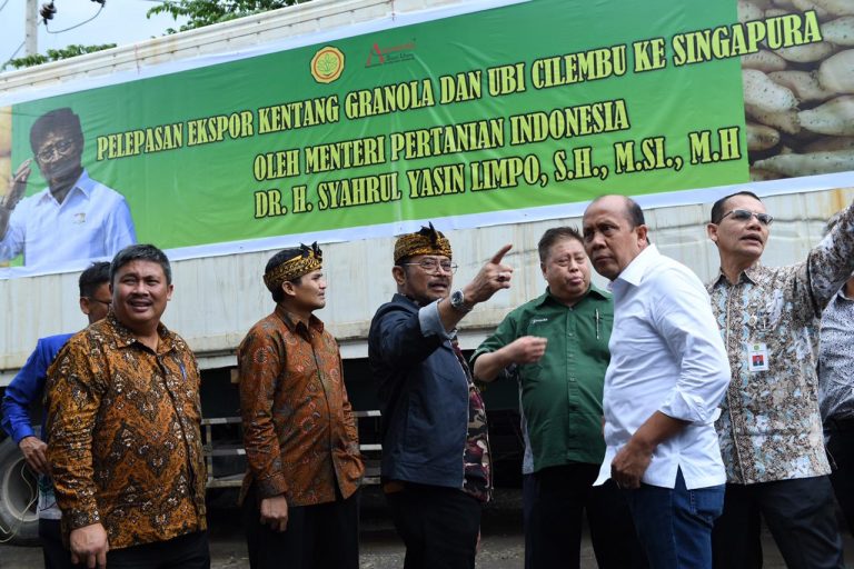 Keren, Mentan Syahrul Lepas Ekspor Sayur Asal Jawa Barat