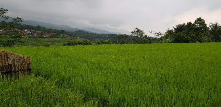 Bupati Bekasi Komitmen Jaga tak Terjadinya Disfungsi Lahan Pertanian