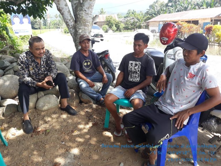 Cerita Sukses Dua Warga Desa Lantapan Kabupaten Tolitoli Yang Berhasil Menjadi Kaya Berkat Ketekunan Bertani