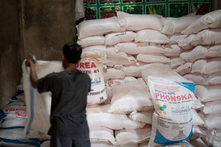 Kementan: Pupuk Sangat Cukup, Ingatkan Pemda Segera Percepat Realisasi