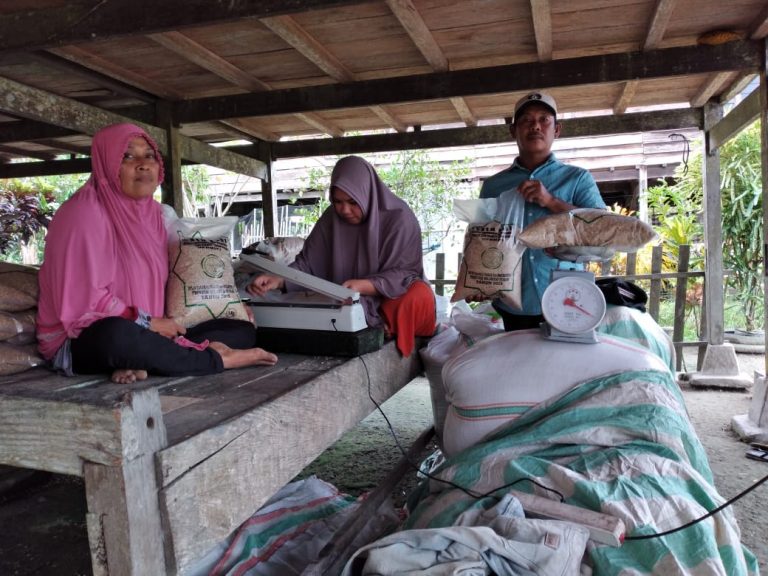 Kadistan Tolitoli Terus Dorong Para Petani Untuk Sukses Dalam Bertani