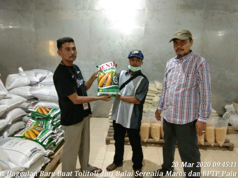 Kadistan Tolitoli Gerak Cepat Majukan Pertanian Mandiri dan Moderen