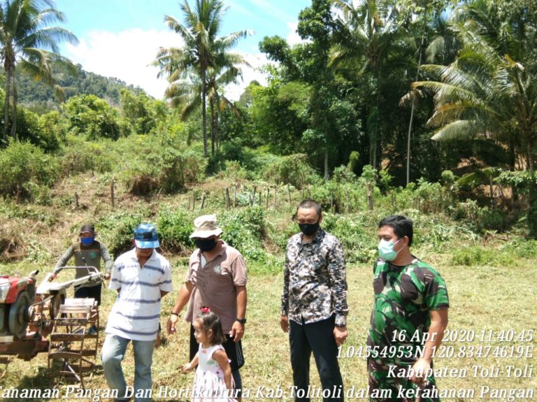 Dorong Ketahanan Pangan, Kadistan Tolitoli Sinergis Dengan TNI AL
