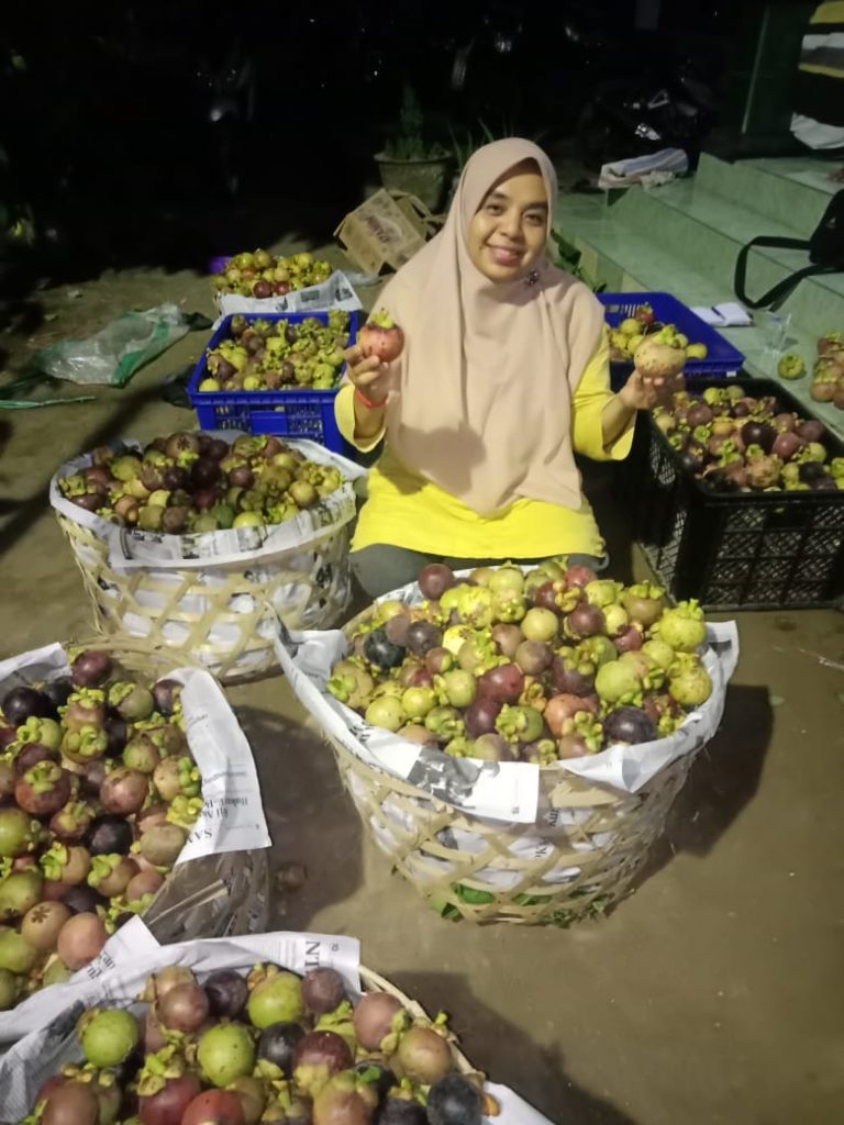 Buah dan Sayur hasil Petani Kaki Gunung Rinjani Diincar Dunia