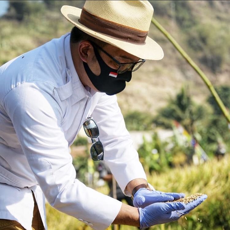 Ridwan Kamil Pastikan Ketahanan Pangan Jabar Ditengah Pandemi Aman