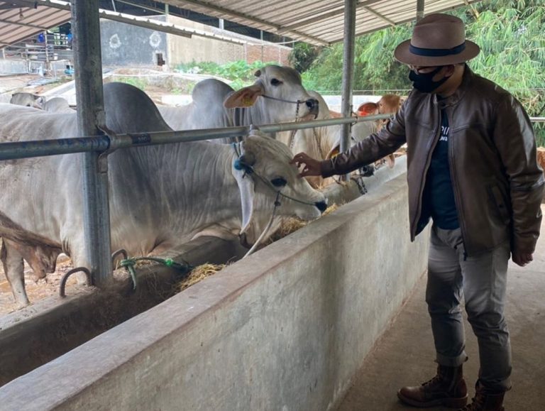 Ridwan Kamil Ajak Warganya Tekuni Bisnis Bidang Pangan, Pertanian Hingga Peternakan
