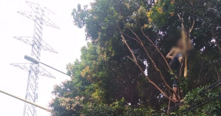 Heboh! Seorang Pria di Depok Teriak-teriak Seperti Jagoan di Atas Pohon