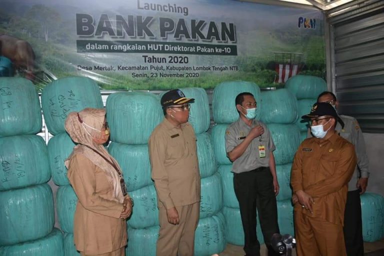 Kementan Luncurkan Bank Pakan Dukung Swasembada Protein Hewani