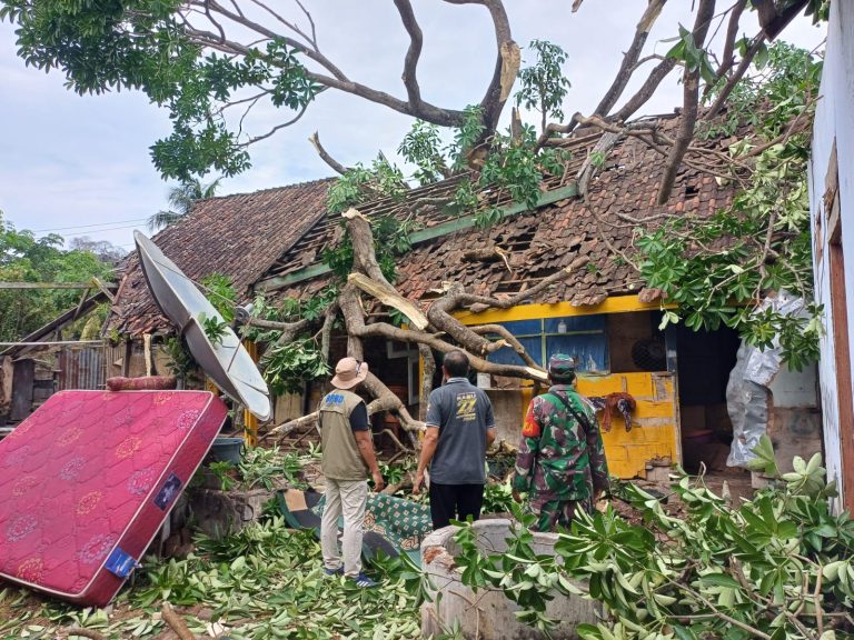 Waspada, Angin Kencang di Bima Rusak Puluhan Rumah, Kerugian Mencapai Rp1,6 Miliar