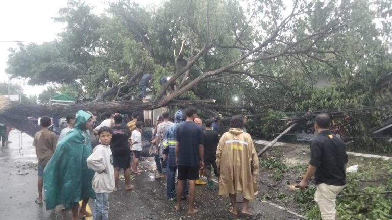 Hujan Lebat dan Angin Kencang Sebabkan Banjir, Pohon Tumbang, dan Kerusakan di Kabupaten Bima
