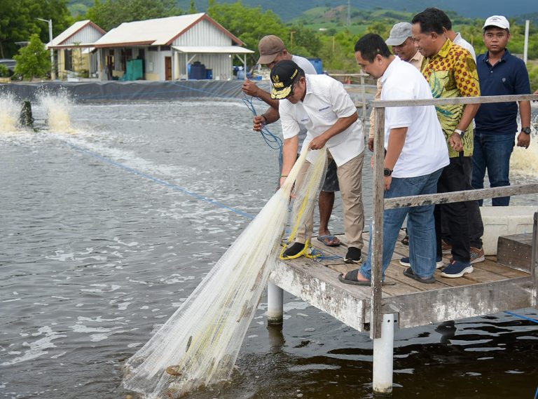Pj Gubernur NTB: Budidaya Udang, Kunci Penguatan Ekonomi Daerah