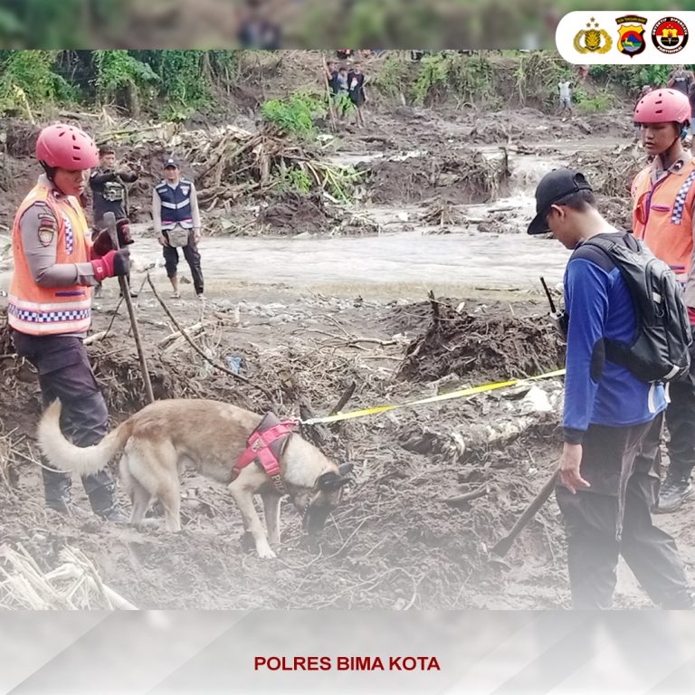 Polda NTB Kerahkan Anjing Pelacak K9 untuk Bantu Pencarian Korban Banjir di Bima