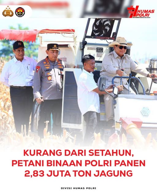 Gugus Tugas Polri Sukses Tanam 559 Ribu Hektare Jagung, Targetkan 1 Juta Hektare untuk Dukung Ketahanan Pangan Nasional