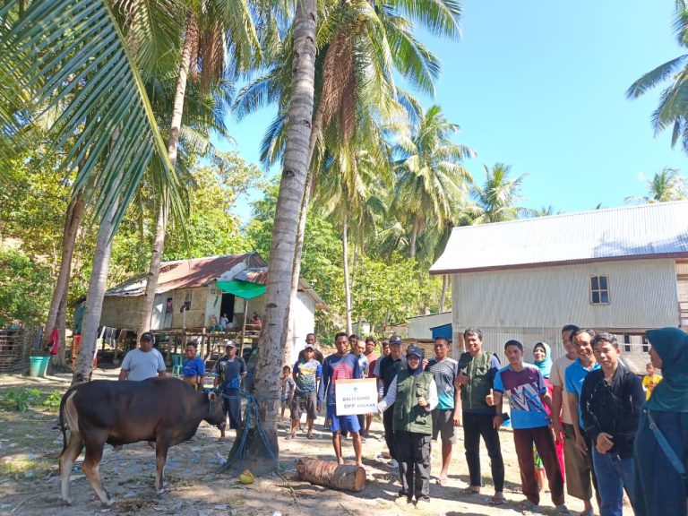 Wujudkan Keadilan Sosial, Lembaga Filantropi Kami Bantu Salurkan Hewan Kurban ke Wilayah 3T