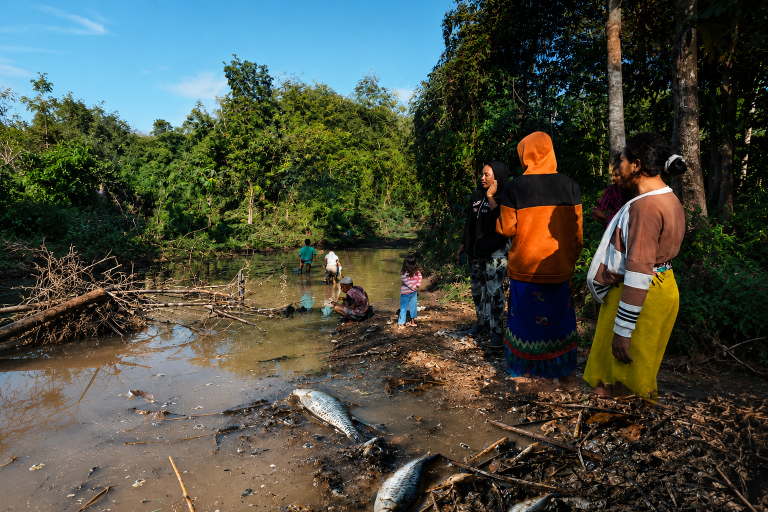 Misteri Kematian Massal Ikan di Sungai Lepadi, Dugaan Pencemaran Mulai Diselidiki