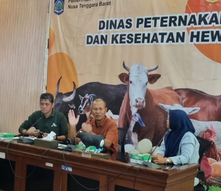 Manipulasi Distribusi Ternak, Lima Perusahaan Dompu Ditegur Pemprov NTB