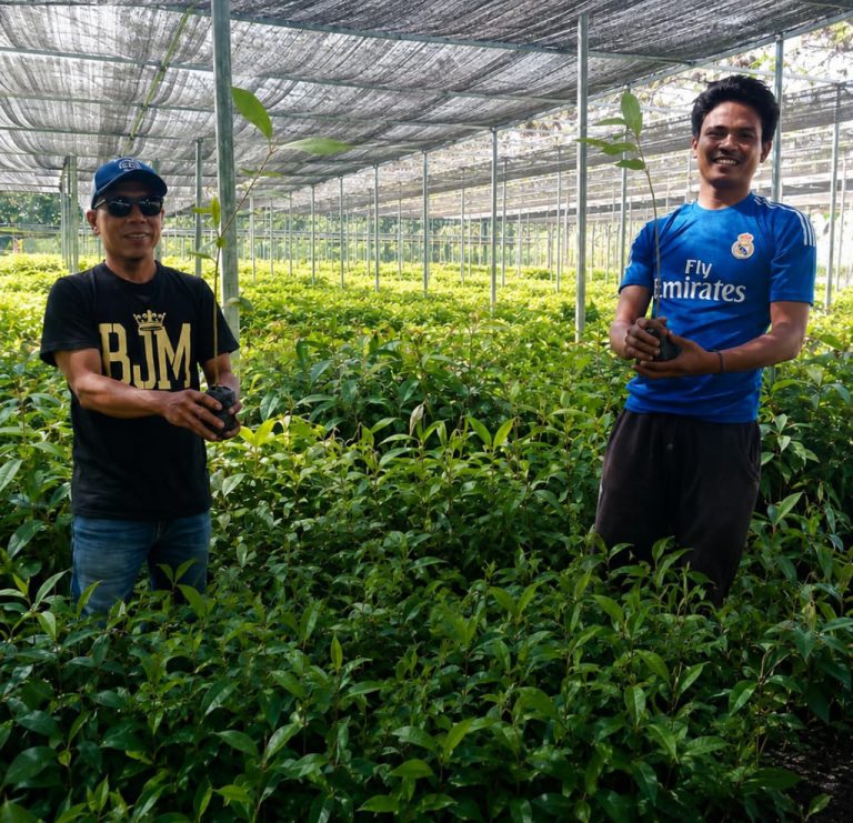 Balai Persemaian di Dompu Siapkan 200 Ribu Bibit Durian, Alpukat hingga Cendana
