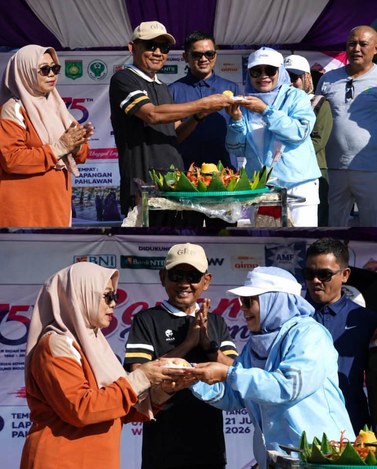 Peringati HUT IBI, Wabup Sumbawa Tekankan Peningkatan Kompetensi Bidan