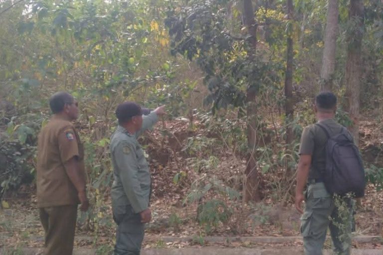 Patroli RPH Pajo I Perkuat Pengamanan Kawasan Hutan di Desa Woko