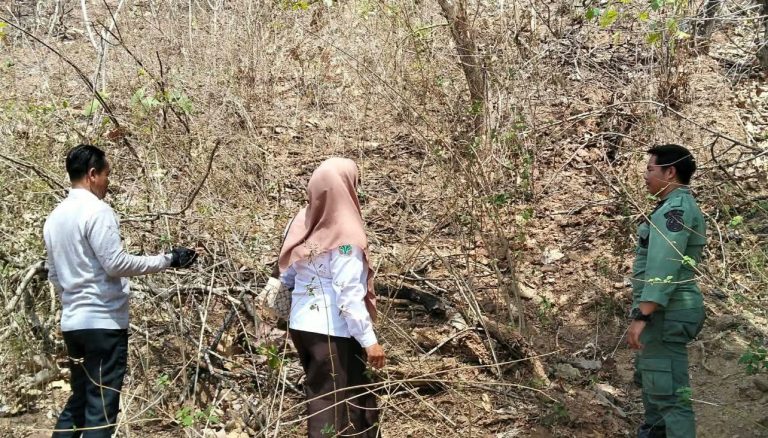 Patroli Pencegahan Kerusakan Kawasan Hutan dan Sosialisasi di Wilayah Kerja Resort Pengelolaan Hutan Hu’u